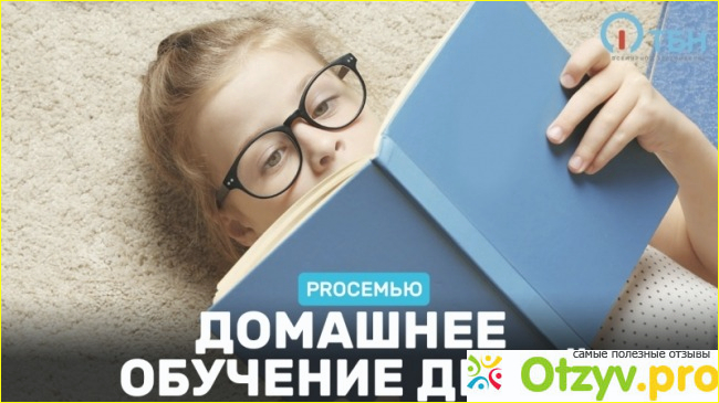 Домашнее обучение отзывы родителей фото4