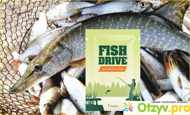 Где купить Fish Drive: официальный сайт и цены