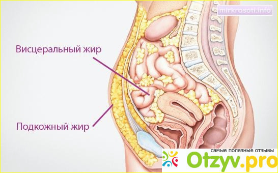 Особенности похудения