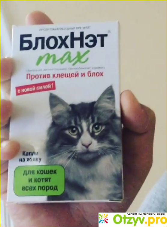 Инсектоакарицидный препарат БлохНэт max для кошек и котят всех пород фото1