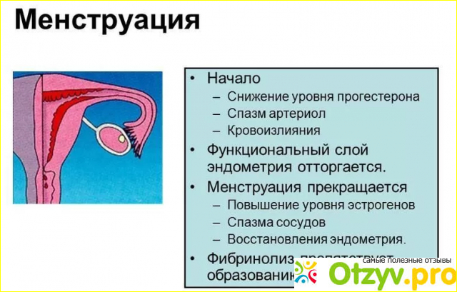 3) Эффект, показания и противопоказания.