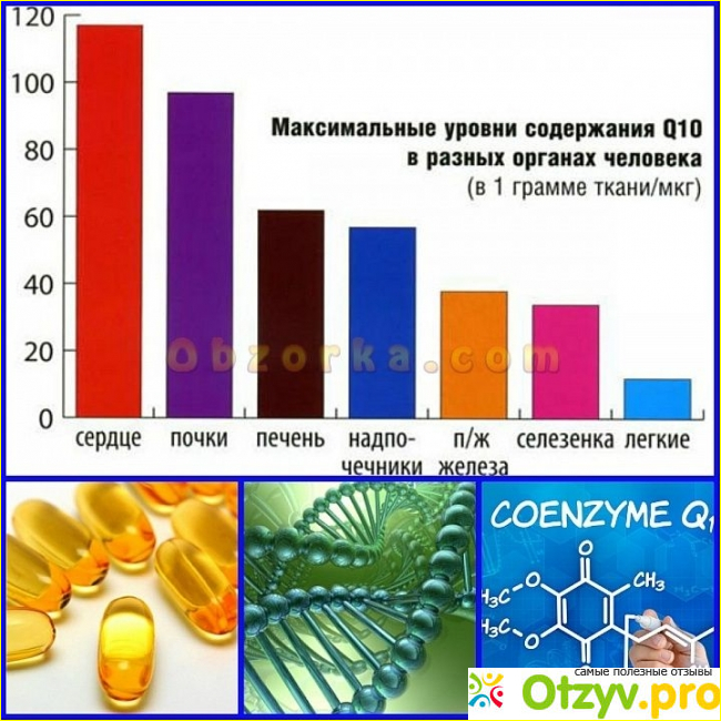 Коэнзим q10 польза для женщин фото3