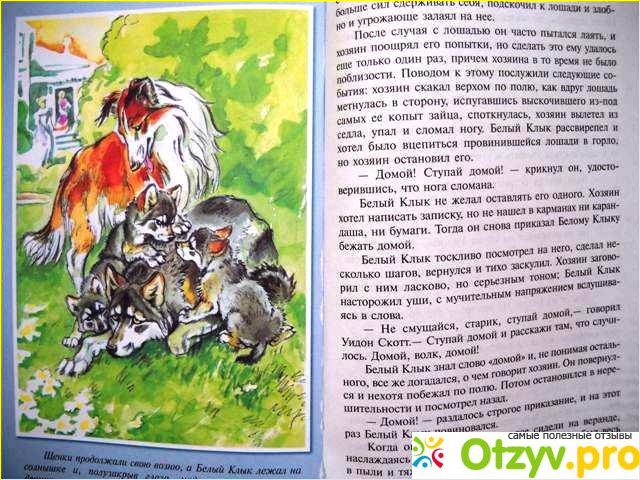 Отзыв о книге белый клык фото1