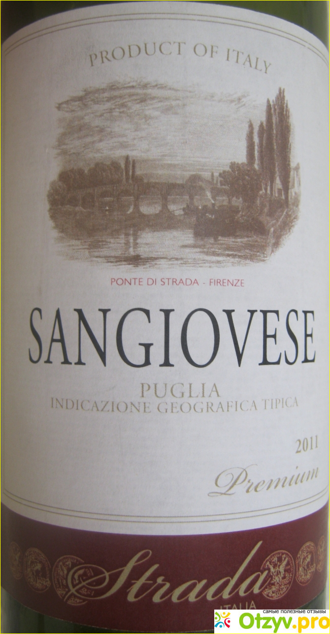 Сорт винограда sangiovese.