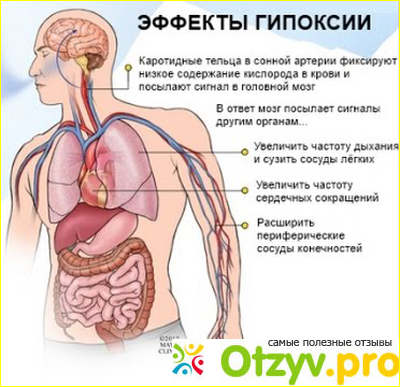 Отзыв о Горная болезнь: симптомы, лечение, профилактика