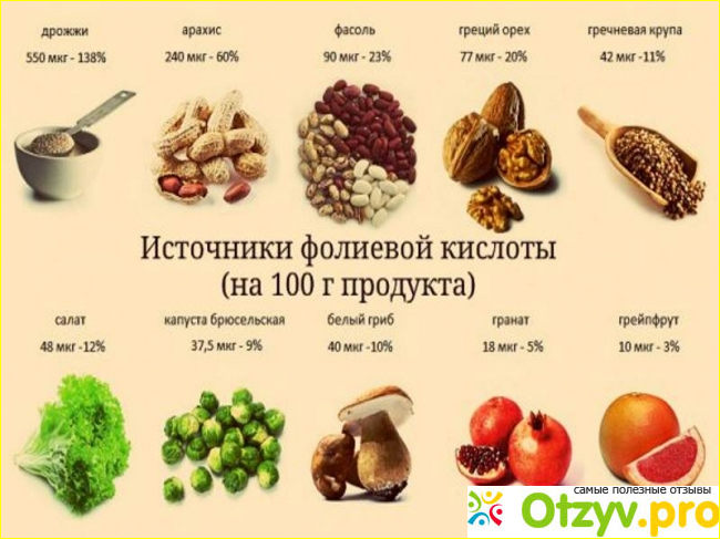 Витамин в9 фолиевая кислота - в каких продуктах фото1