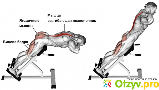 Техника выполнения гиперэкстензии и главные ошибки фото2