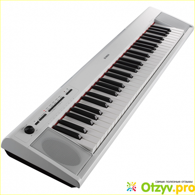 Синтезаторы и MIDI клавиатуры Casio