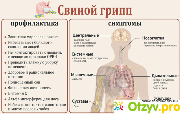 Свиной грипп: симптомы и признаки у людей.