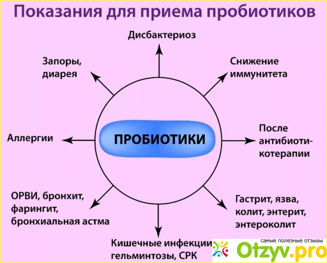 Пробиотики и пищеварение.