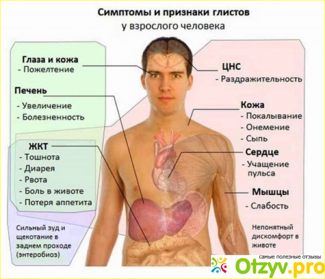 Средство от паразитов intoxic отрицательные отзывы.