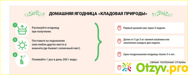 Отзыв о Домашняя ягодница «Кладовая природы»