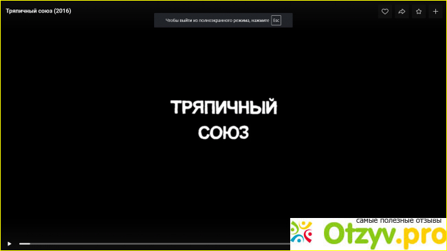 Отзыв о Тряпичный союз(2016)