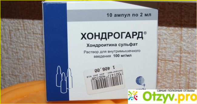 Хондрогард – когда ваши суставы и кости скажут вам спасибо!