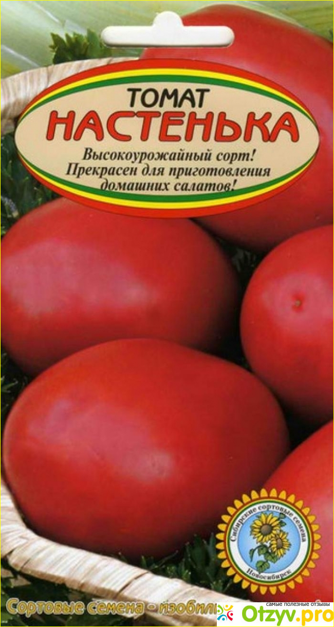 Настенька томат описание и фото отзывы характеристика. Томат Настенька семена. Сорт помидор Настенька. Томаты Настенька описание сорта. Томат Настенька 0,05гр. (Семена Алтая).