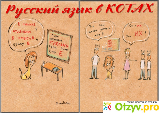 Содержание книги и отличие от других. 