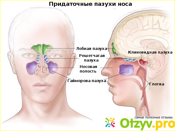 Как провести дифференциальную диагностику?