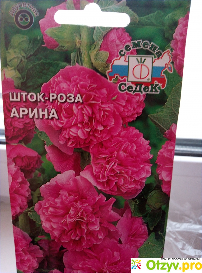 Отзыв о Семена шток роза Арина