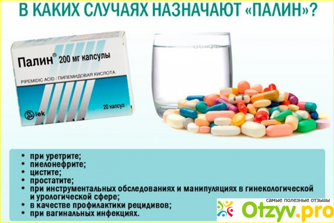 Отзыв о Палин инструкция по применению цена отзывы аналоги