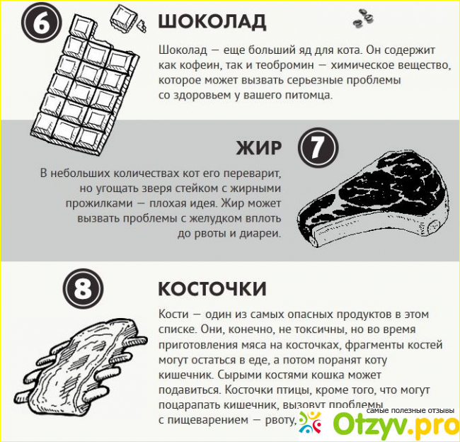 5. Сладкое, соленое, острое. 