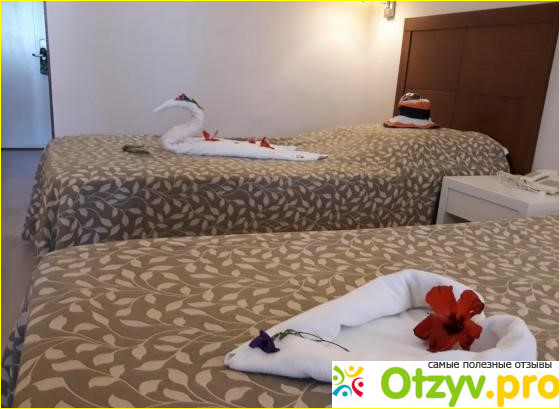 Отель Art Beach Hotel 5* (Турция, Кемер)