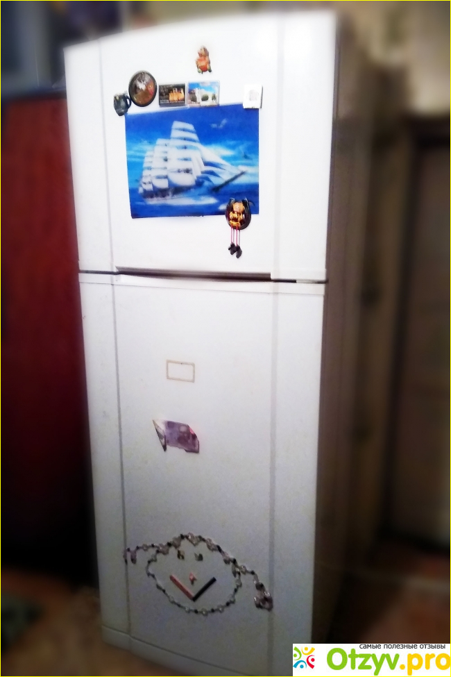 Отзыв о Двухкамерный холодильник VESTFROST SX 435 M