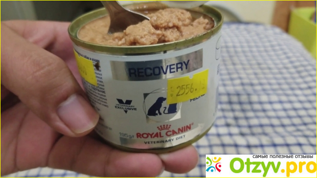 Royal canin Recovery.