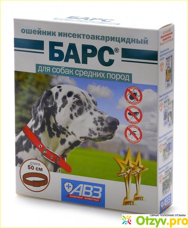 Вывод.