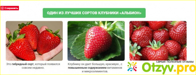 Какой используется грунт