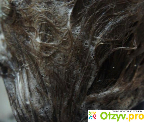 Шампунь для волос L'Oreal Elseve Роскошь 6 масел фото10