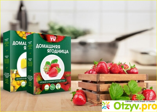 ДОМАШНЯЯ ЯГОДНИЦА купить на официальном сайте