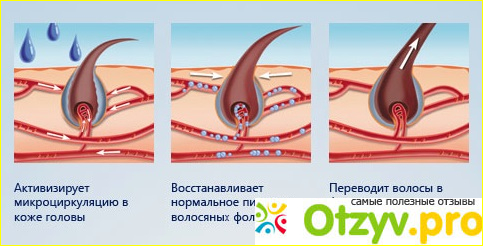 Как правильно применять на волосы