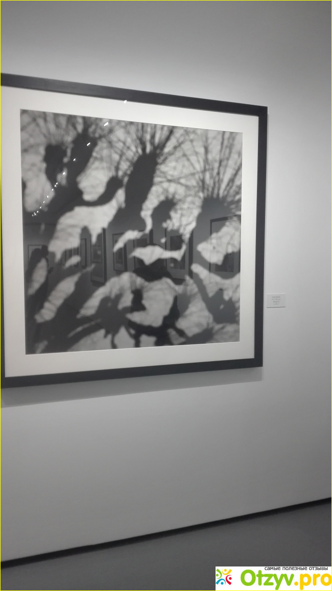 Выставка Альберто Гарсия-Аликса «Неистовый экспрессионизм» в Мультимедиа Арт Музее (Москва) фото4