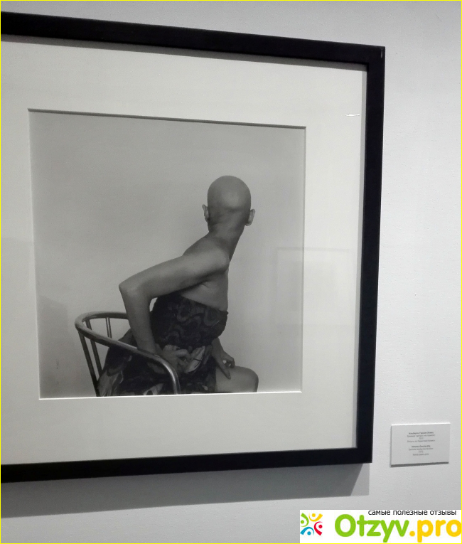Выставка Альберто Гарсия-Аликса «Неистовый экспрессионизм» в Мультимедиа Арт Музее (Москва) фото9