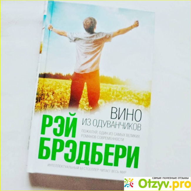 Отзыв о ТОП книг Рэя Брэдбери