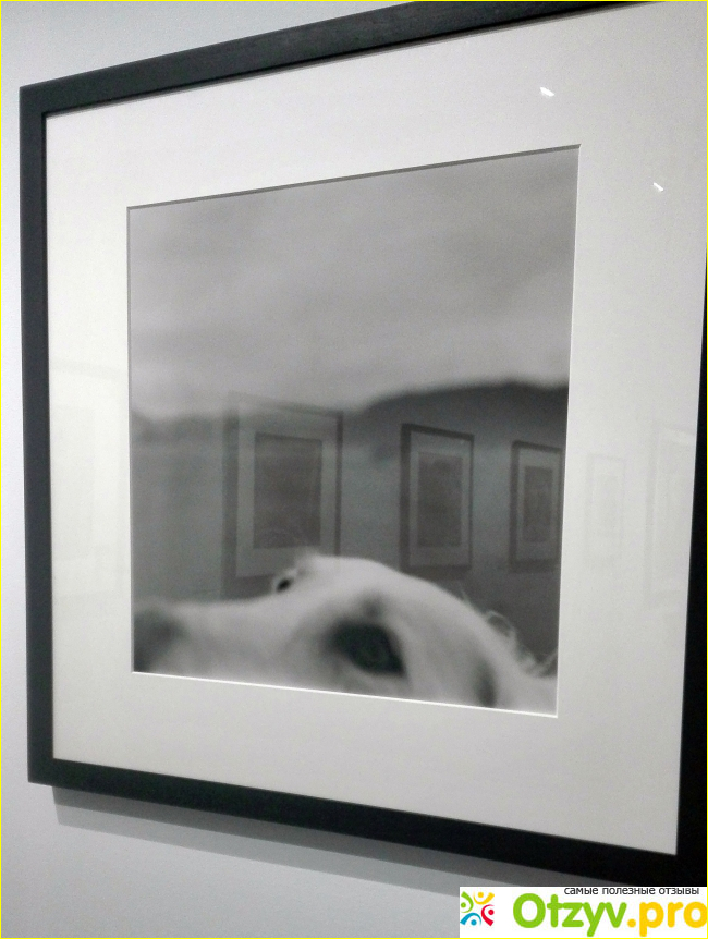 Выставка Альберто Гарсия-Аликса «Неистовый экспрессионизм» в Мультимедиа Арт Музее (Москва) фото5
