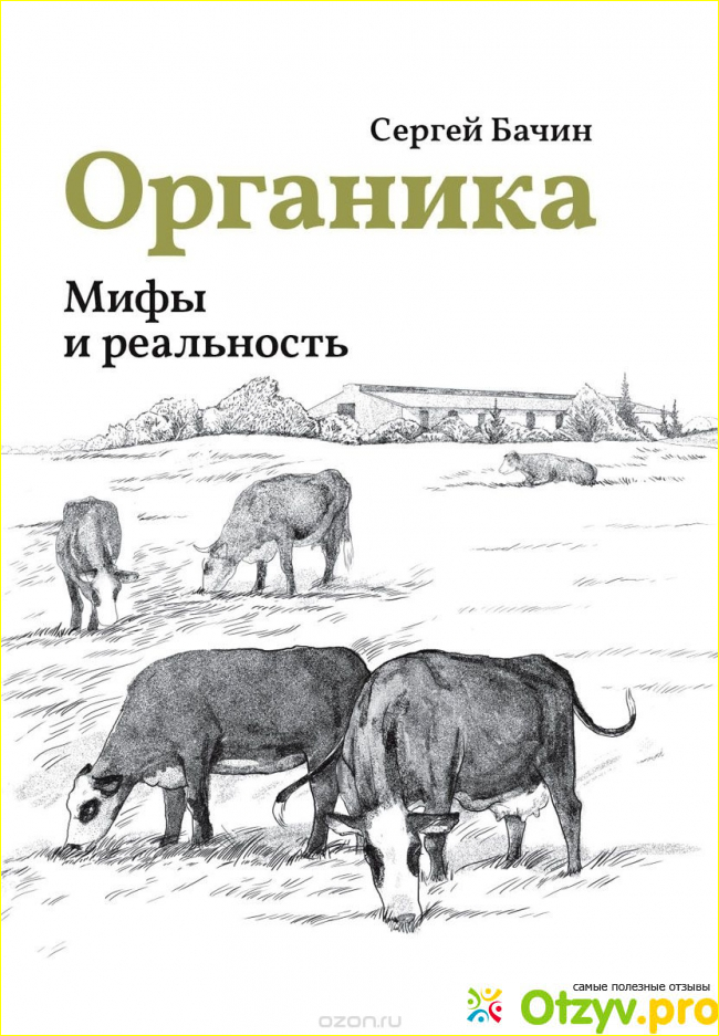 О чем эта книга и что известно о ее авторе? 