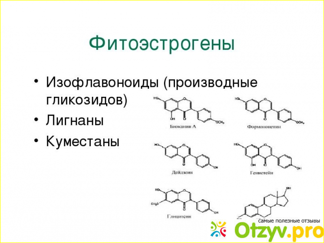 Боровая матка