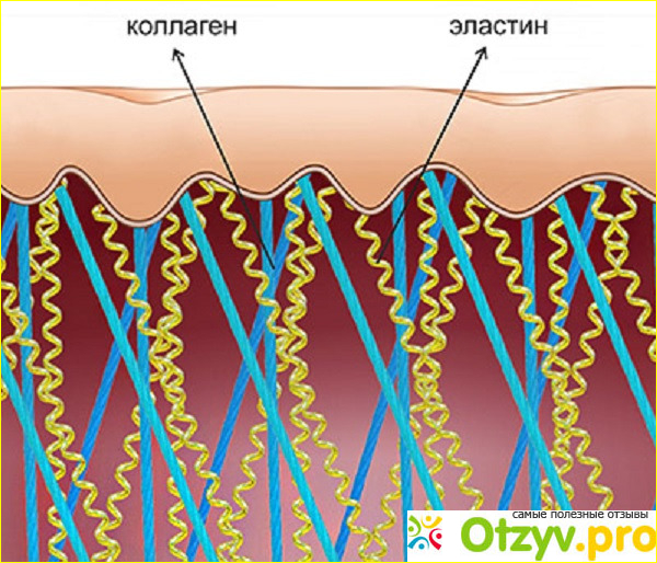 Инструкция по применению