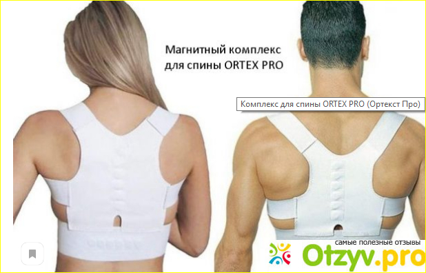 ORTEX PRO где купить