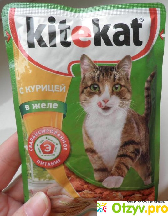 Отзыв о Консервированный корм для кошек Kitekat в желе