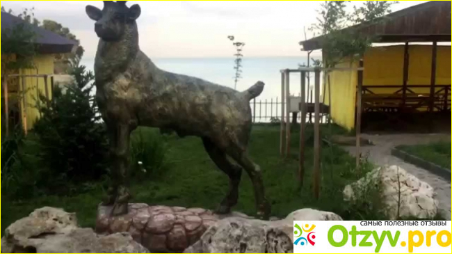 Отзыв о Лесная сказка хутор ленина