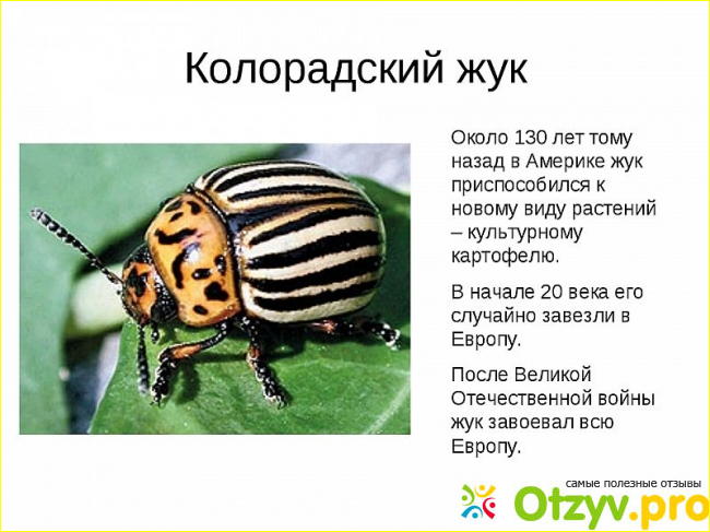 Способы борьбы.