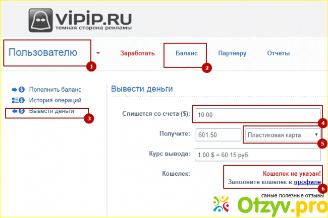 Отзыв о Vipip ru