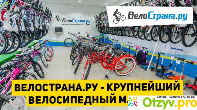 Ассортимент магазина. 