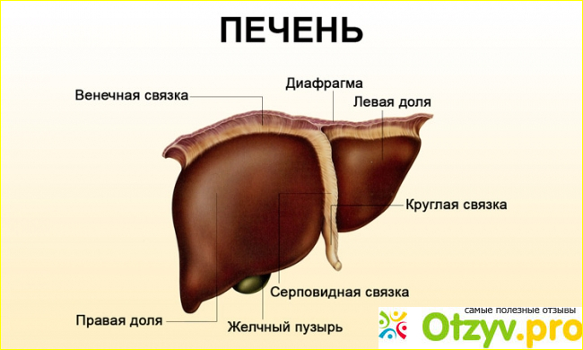 Режим дозирования.