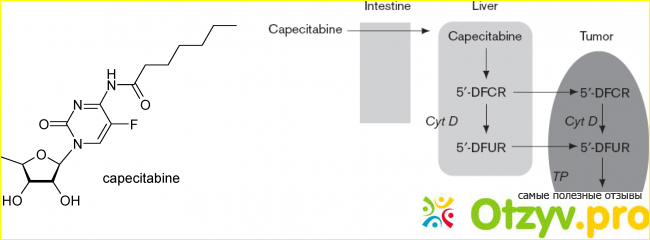 Капецитабин схема лечения