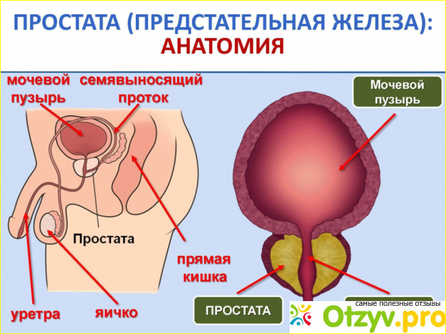 Омник (Тамсулозин)