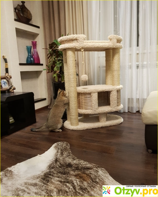 Мои впечатления. 