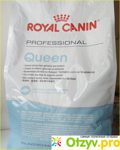 Отзыв о Сухой корм для беременных и кормящих кошек Royal Canin Queen